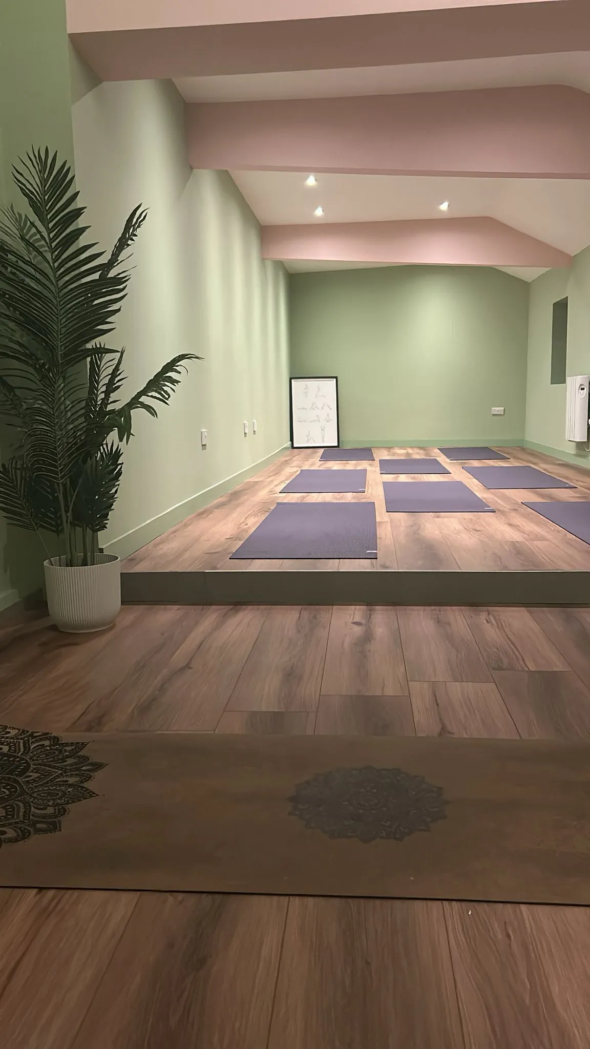 Yoga Studio